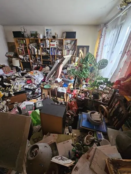 Avant intervention syndrome de Diogène